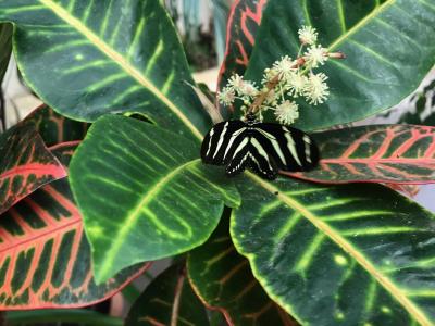 Besuch im Vivarium in Darmstadt