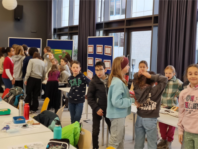 Klassen 4 zu Besuch bei der Fairtrade AG des Goethegymnasiums